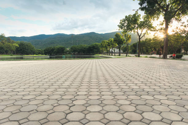 Best Local Driveway Pavers  in North Bend, WA